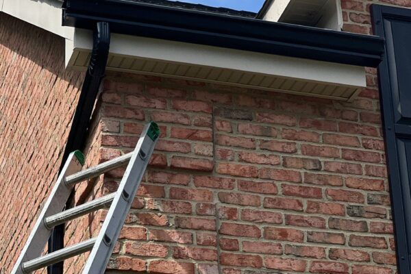 6-Jun 28 2024 11_00am-ugpV 6-Jun 28 2024 11_00am-ugpV