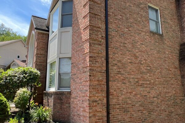 9-Jun 28 2024 11_38am-NPEA 9-Jun 28 2024 11_38am-NPEA